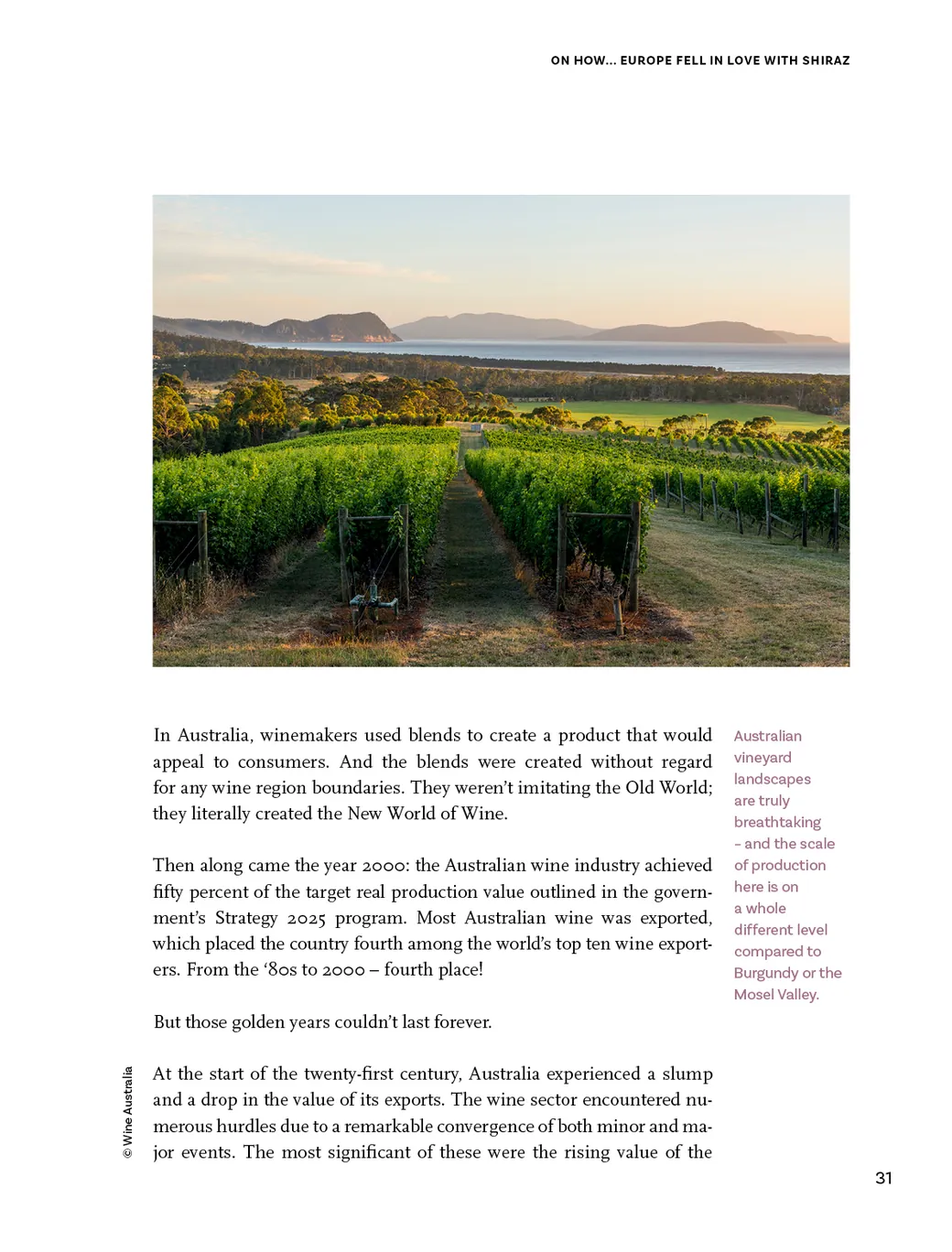 Wild Yeasts – page 31
