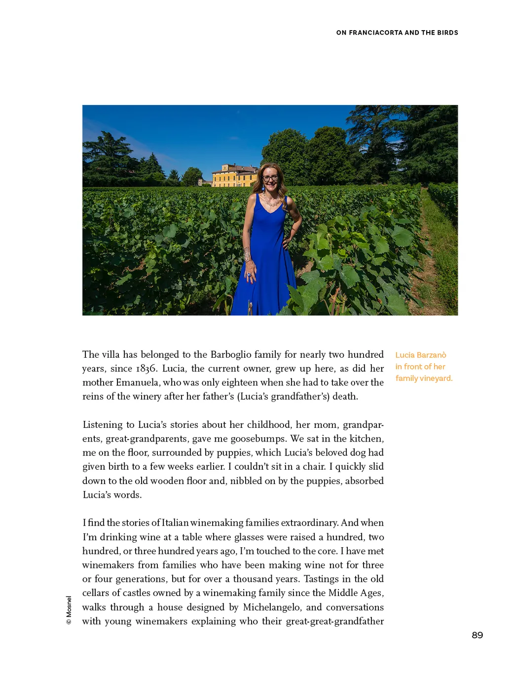 Wild Yeasts – page 89